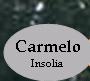 Carmelo Insolia