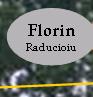 Florin Raducioiu