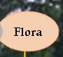 Flora Schgr Landi