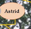 Astrid Schgr Raducioiu