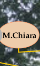 Maria Chiara Schgr