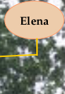 Elena Schgr